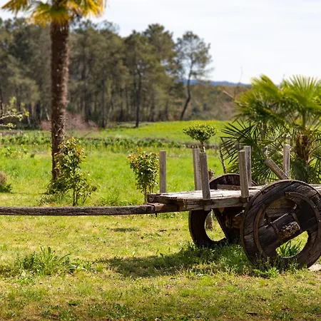 O Rincon De Esther * Vedra