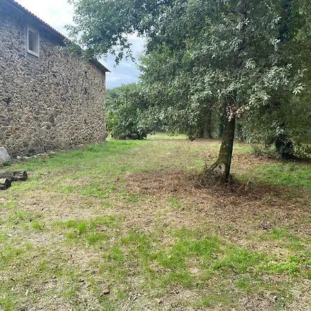 O Rincon De Esther Vedra