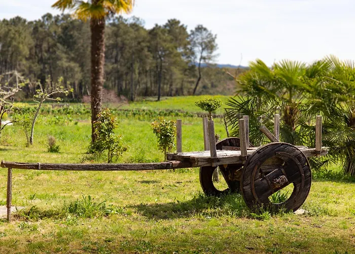 O Rincon De Esther * Vedra